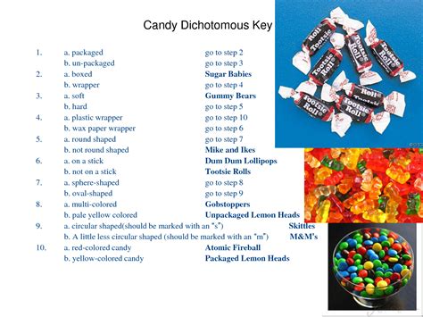 Benefits of Using a Dichotomous Key with Candy
